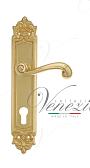 Дверная ручка Venezia на планке PL96 мод. Carnevale (полир. латунь) под цилиндр